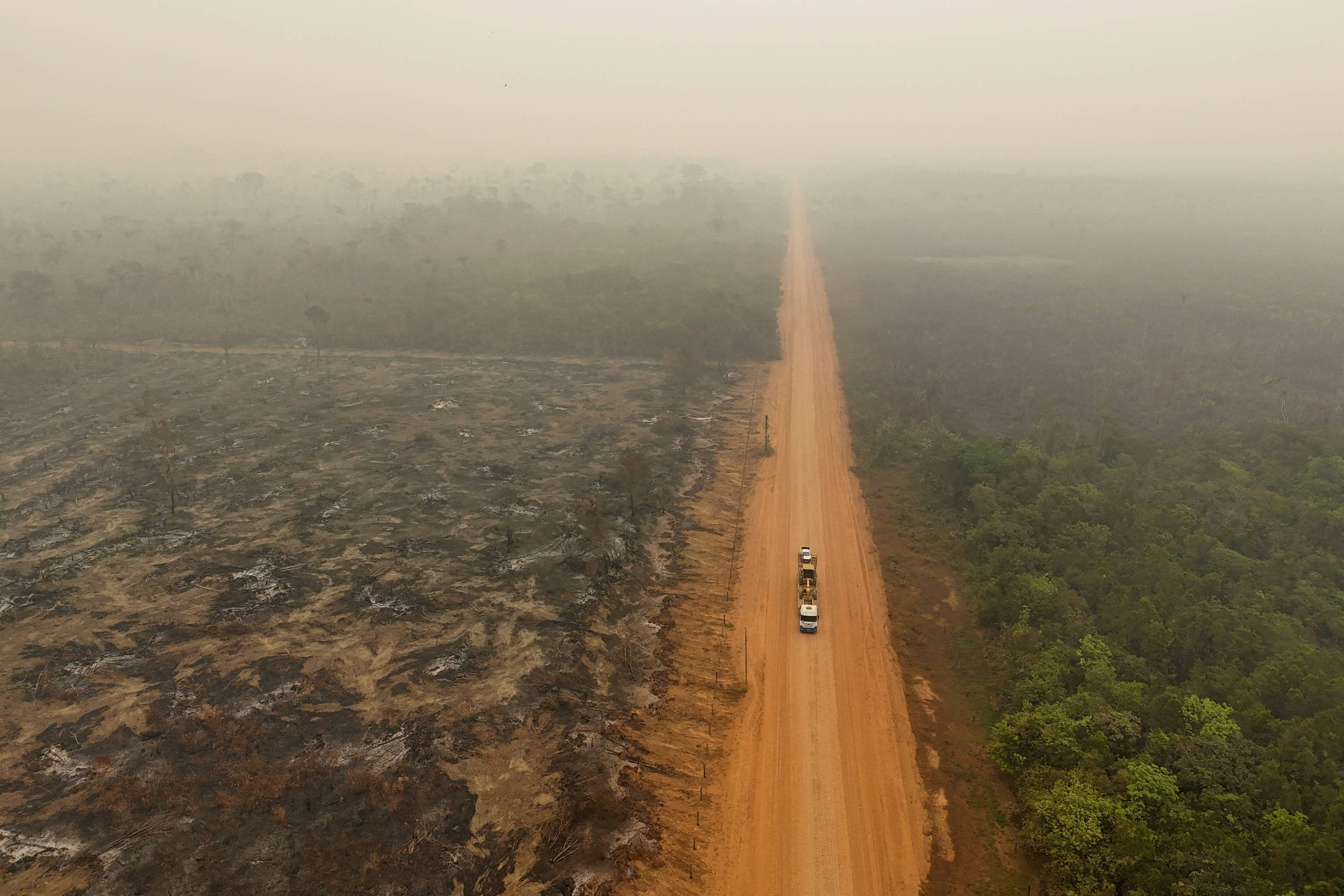 Perda de florestas tropicais diminui em 2025 após recorde, mostra relatório