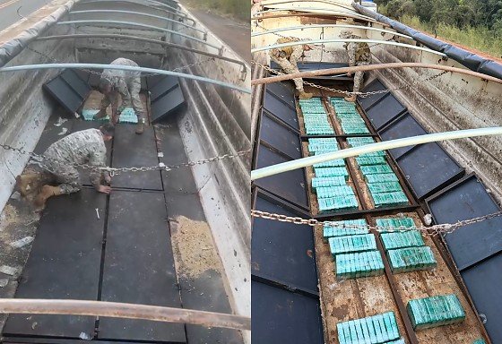 Carga milionária de cocaína é apreendida em Goiás após ação integrada