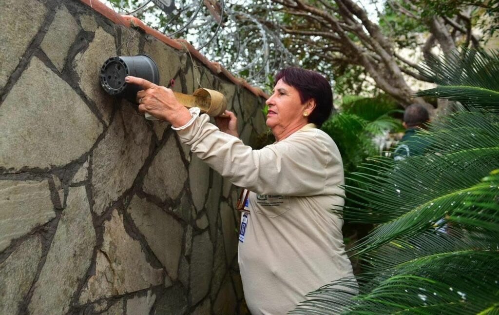 Goiânia registra alta de 609% nas notificações de chikungunya
