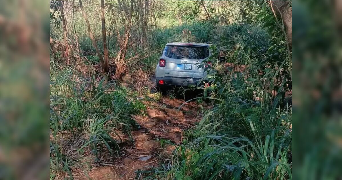 Idoso de 77 anos é assassinado com tiro na cabeça durante latrocínio em residência no PR
